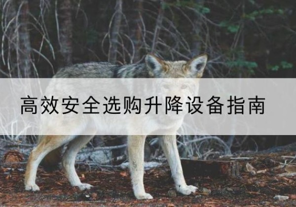 遂宁升降货梯厂家推荐-*安全选购升降设备指南