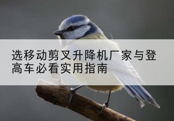 遂宁电动升降机厂家-选移动剪叉升降机厂家与登高车必看实用指南